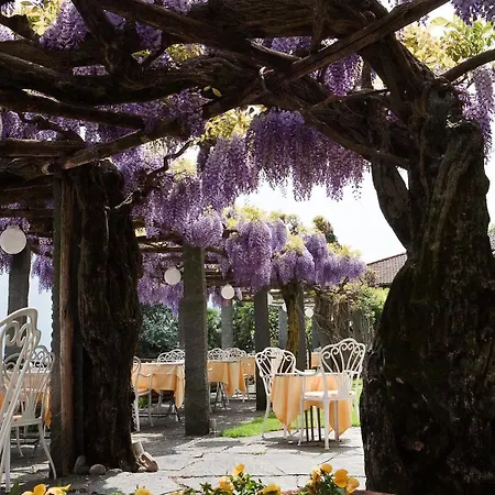 Hotel Hotel Ascona Ascona